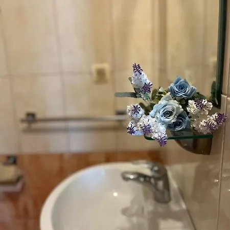 パンシオン アルファ ベッド・アンド・ブレックファスト 3*