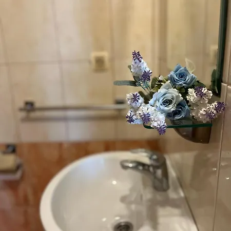 パンシオン アルファ Međugorje